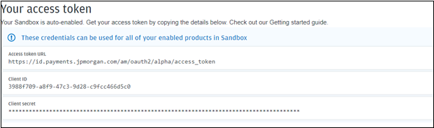 Access token information